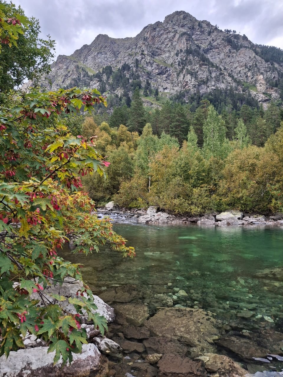 Горы, река и лес