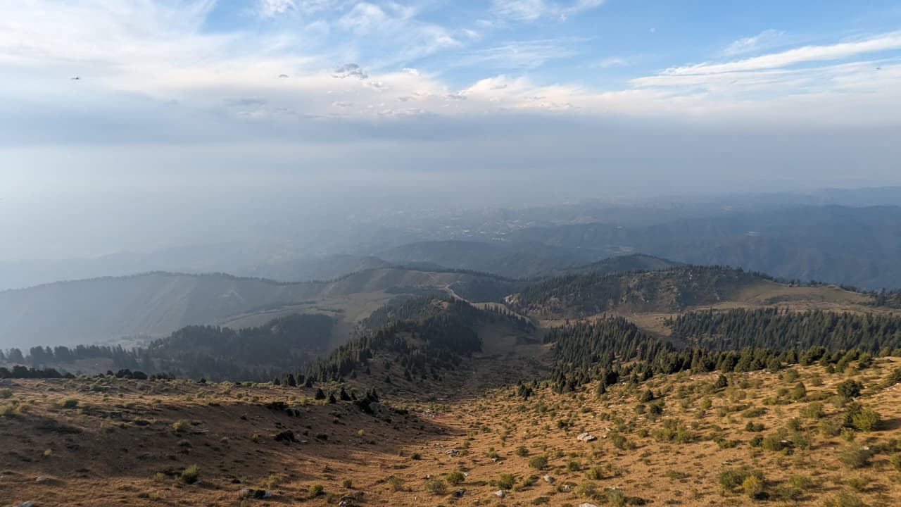 Mountain fog at dawn