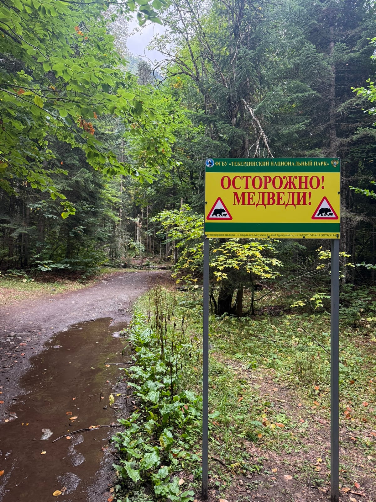 Лесная дорога с предупреждением