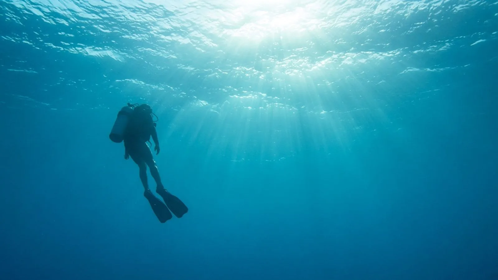 Diver in sunrays. A diver silhouette in turquoise water under sunrays.