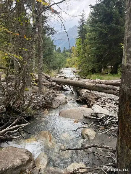A clear mountain river flows through the forest. Suitable for illustrating articles about nature, travel.
