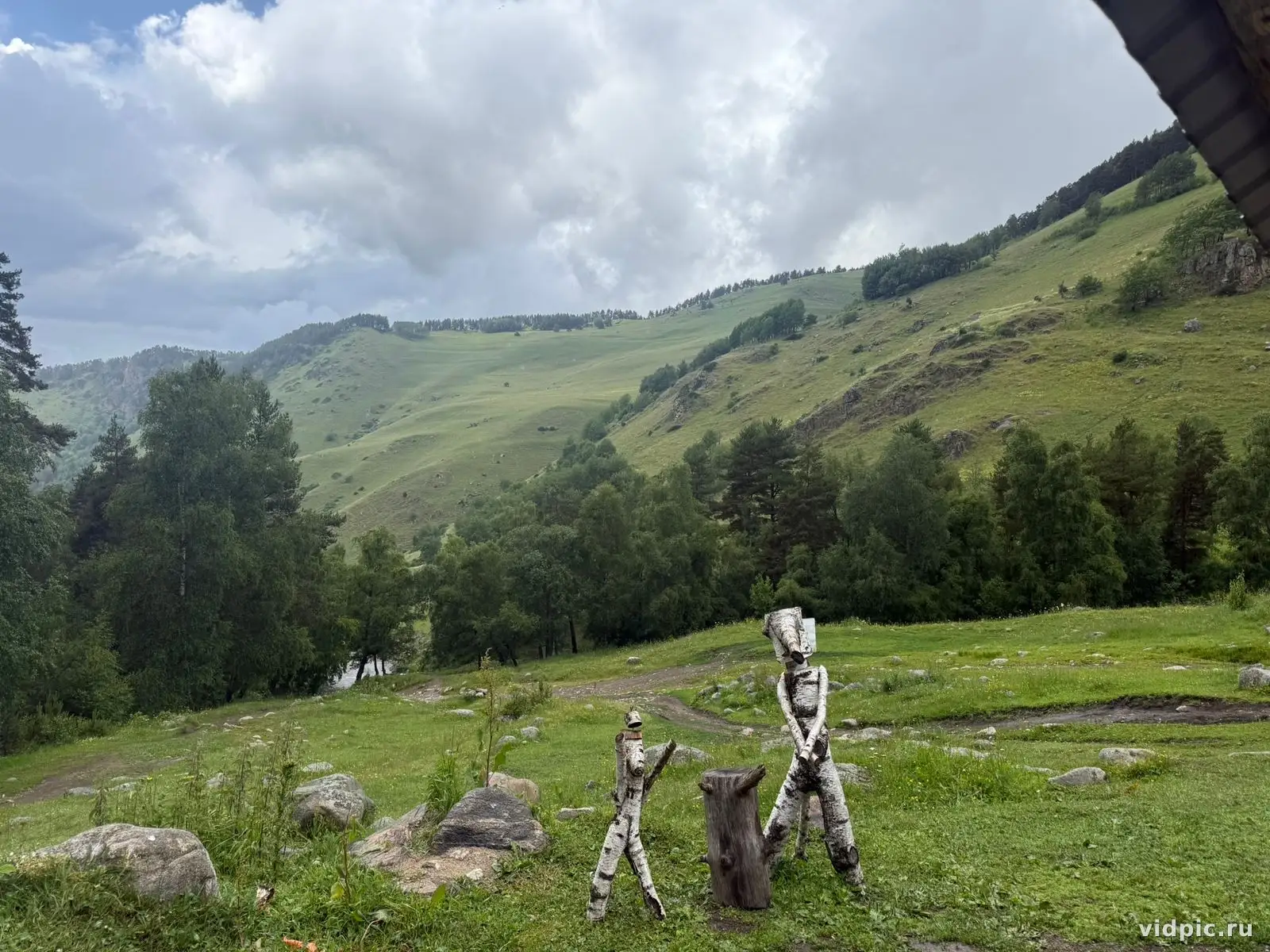 Mountains and forest. A landscape with mountains and forest. Карачаево-Черкесия, Россия