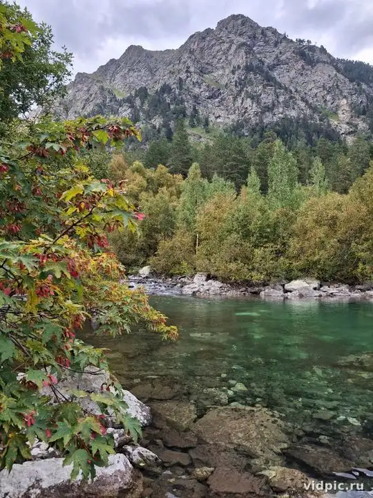A landscape with mountains, a river and a forest. Suitable for illustrating nature, travel and relaxation.