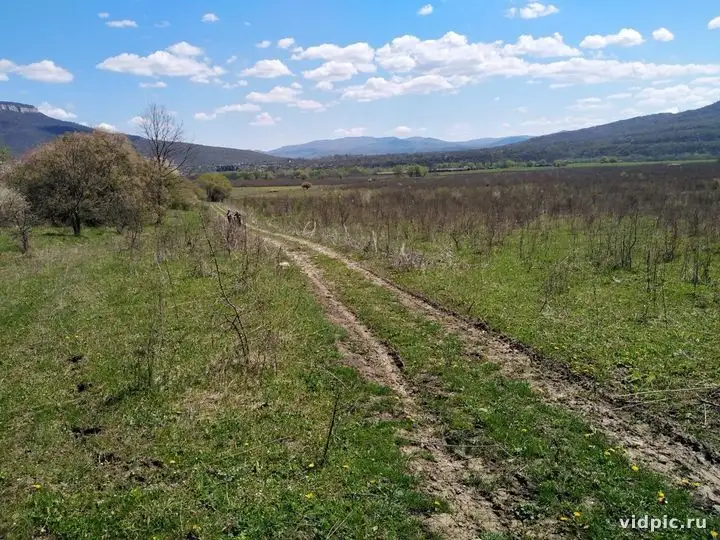 Грунтовая дорога в поле с видом на горы.. Грунтовая дорога тянется через зелёное поле, уходя вдаль к горам.