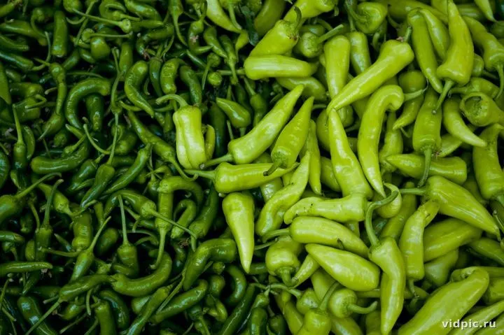 Green peppers at the market. Close-up of green peppers on a market stall.